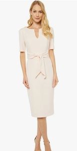 Adrianna Papell Knit Crepe Tie Sheath Dress Sz 6